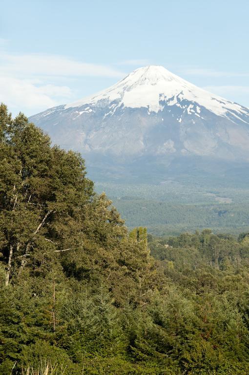 Cabanas Patagonia Lefun Pucon Exterior photo