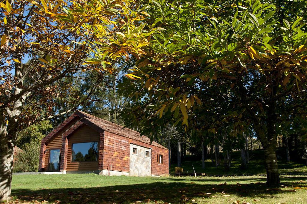 Cabanas Patagonia Lefun Pucon Exterior photo