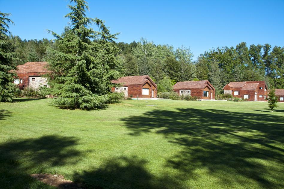 Cabanas Patagonia Lefun Pucon Exterior photo